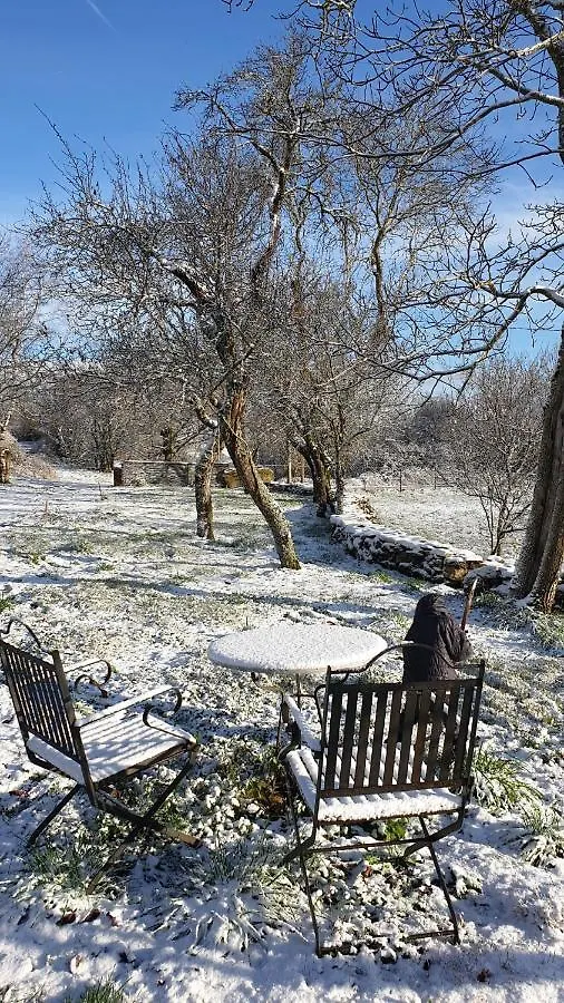 Gîte La Grange Saint-Laurent-dʼOlt Séjour à la campagne